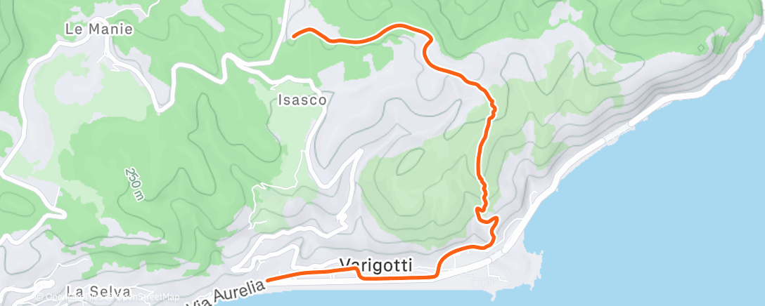 Карта физической активности (Fahrt am Nachmittag)