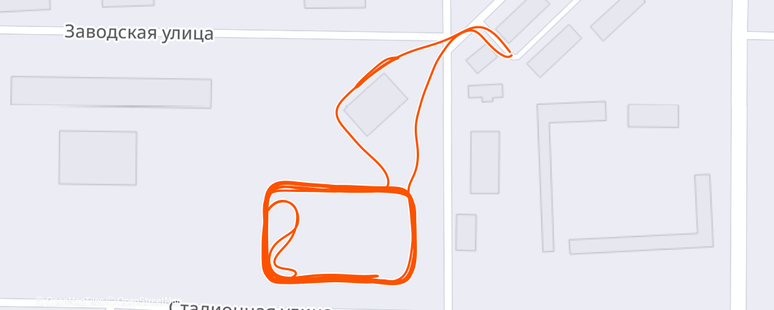 Карта физической активности (Дневной забег)