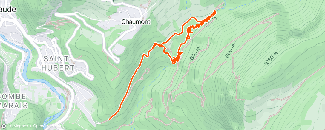 Karte der Aktivität „Canyoning à saint Claude”