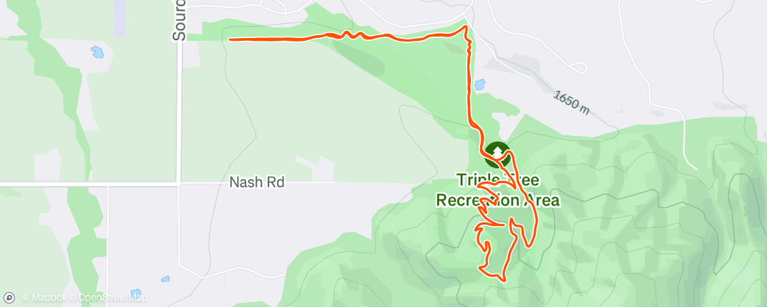 Map of the activity, Triple 🌳