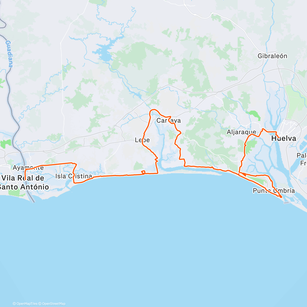 Map of the activity, Un peu trop long et un peu trop chargé pour une reprise