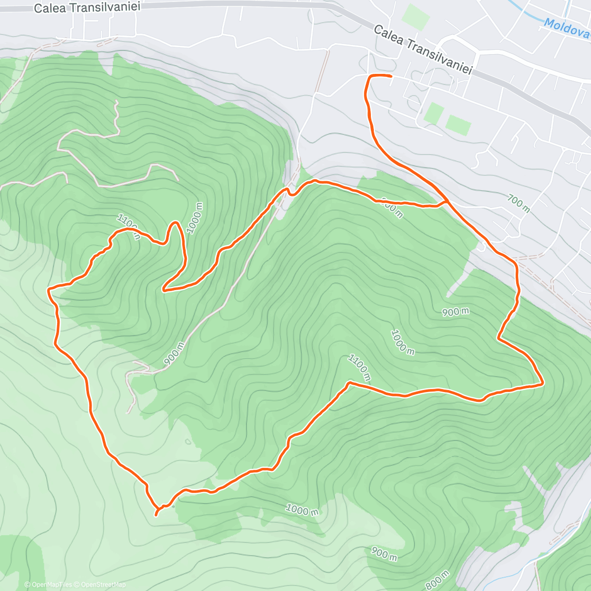 Map of the activity, Morning Trail Run