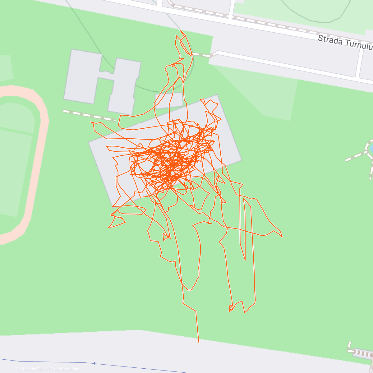 Map of the activity, Afternoon Ice Skate