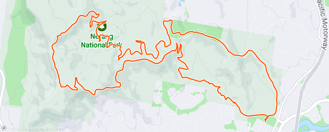 Map of the activity, Singles🌲
