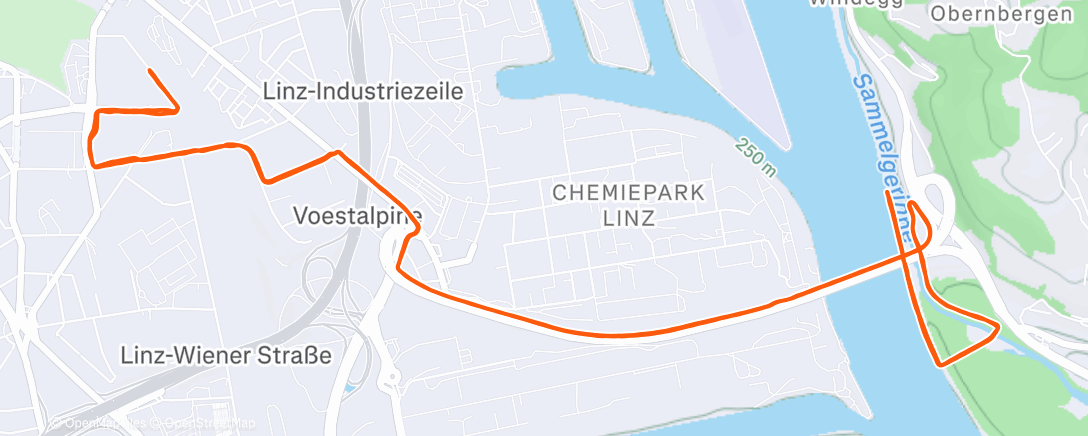 Карта физической активности (Mittagslauf)