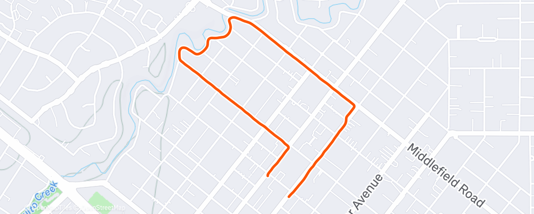 Map of the activity, Morning Run