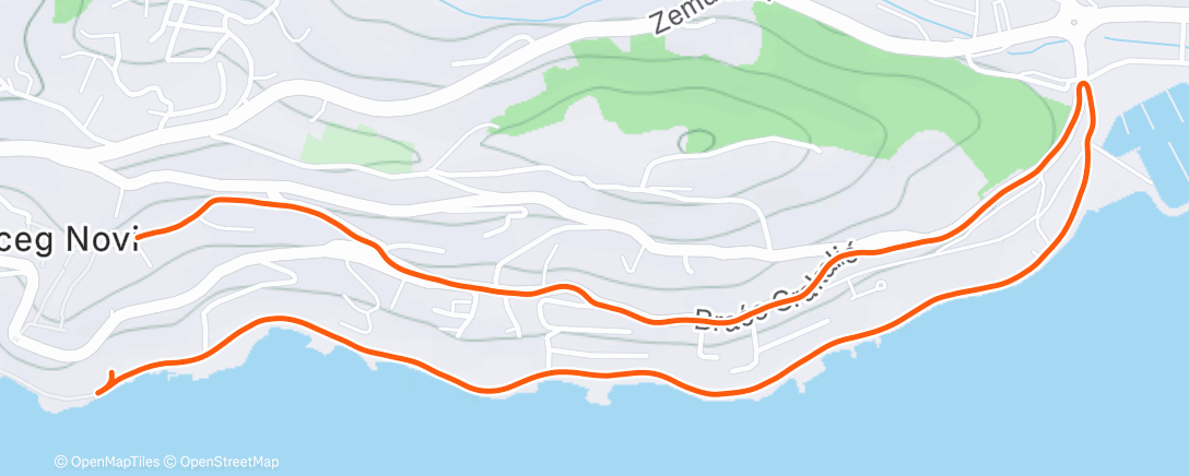 Карта физической активности (Warm up 4 km. Push ups)