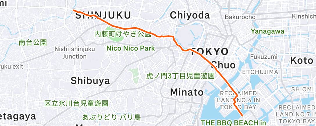 Карта физической активности (ラビスタ東京へ)