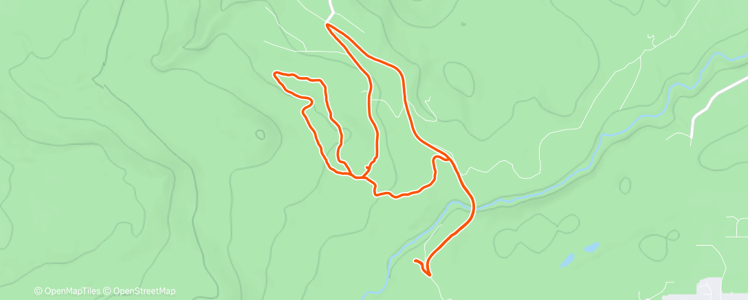 Карта физической активности (Morning Trail Run)