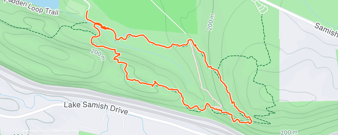 Mapa de la actividad (Morning Walk)