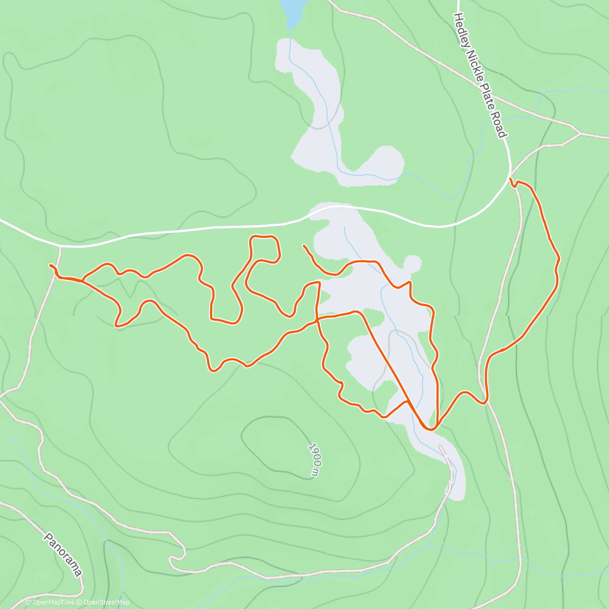 Карта физической активности (Afternoon Nordic Ski)