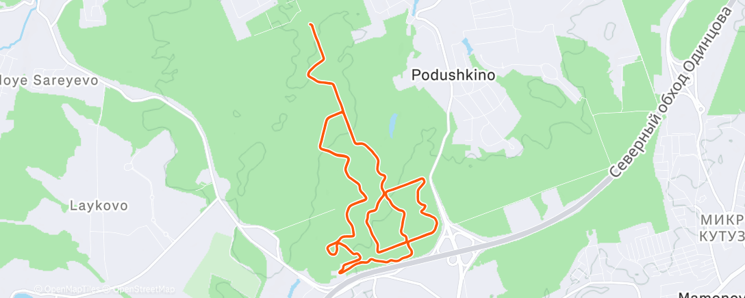 Map of the activity, Morning Nordic Ski