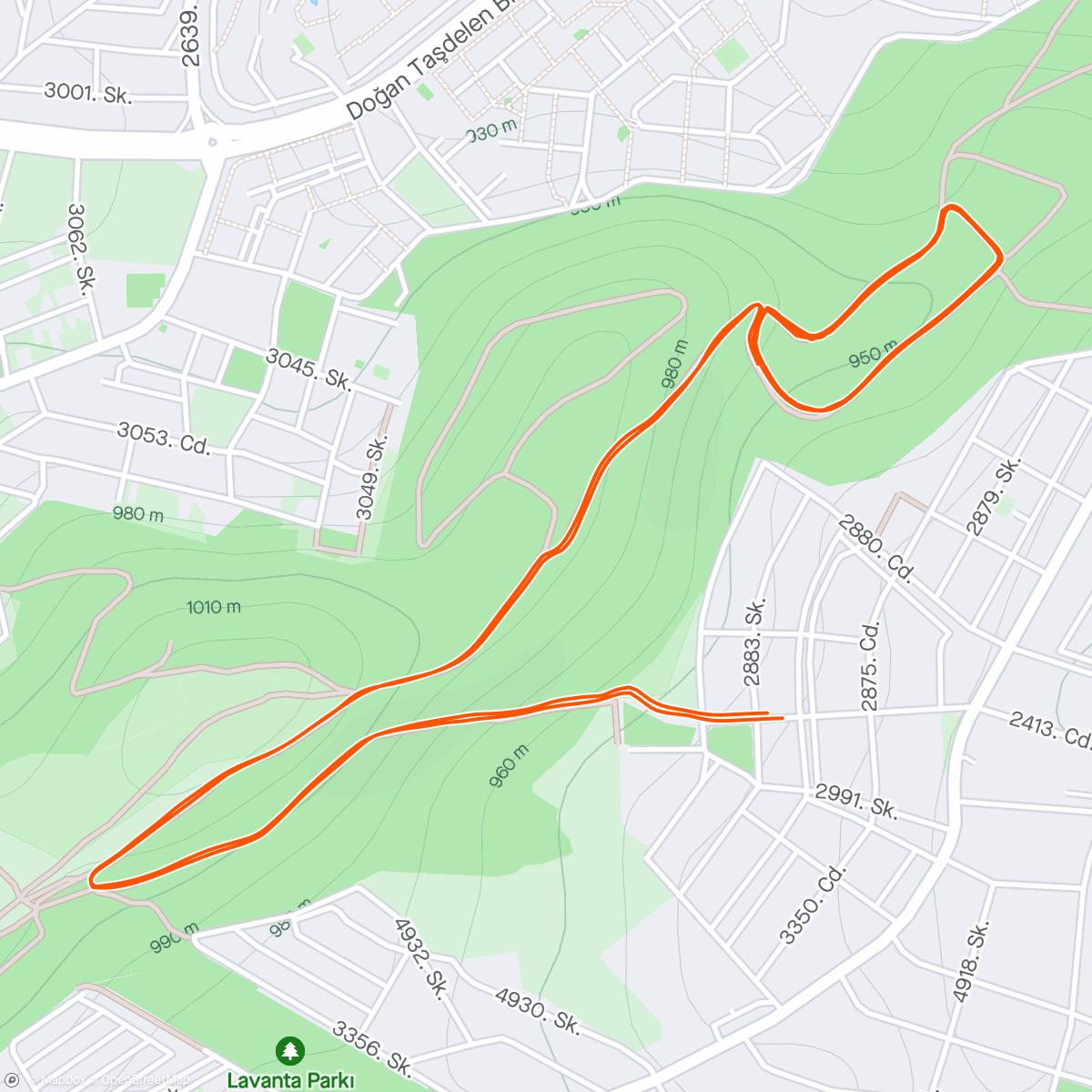 Map of the activity, 4x4/4 vo2max w/ elevation