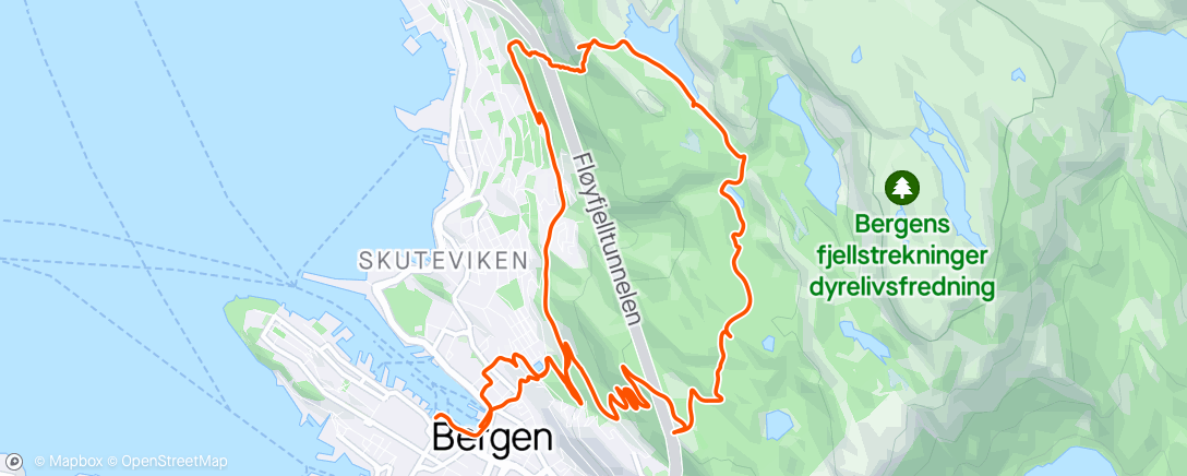 Map of the activity, Stoltzen og Fløyen med Sandy🌞
