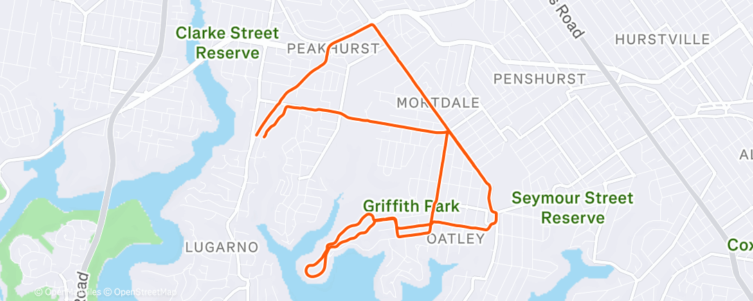 Map of the activity, Morning Run