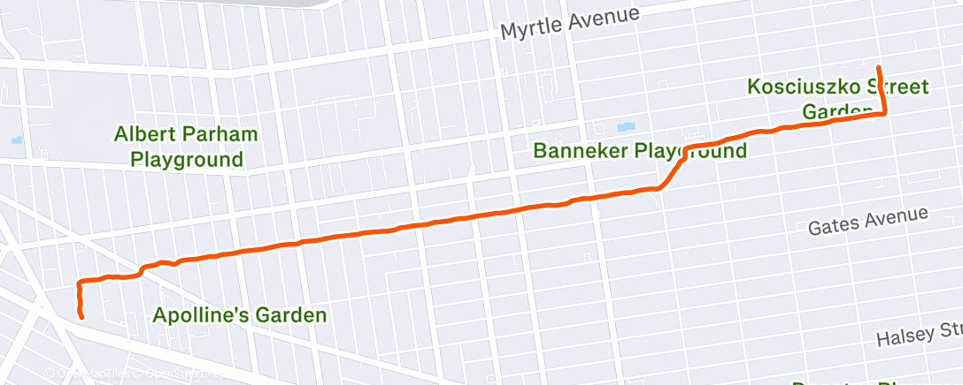 Map of the activity, Morning Run