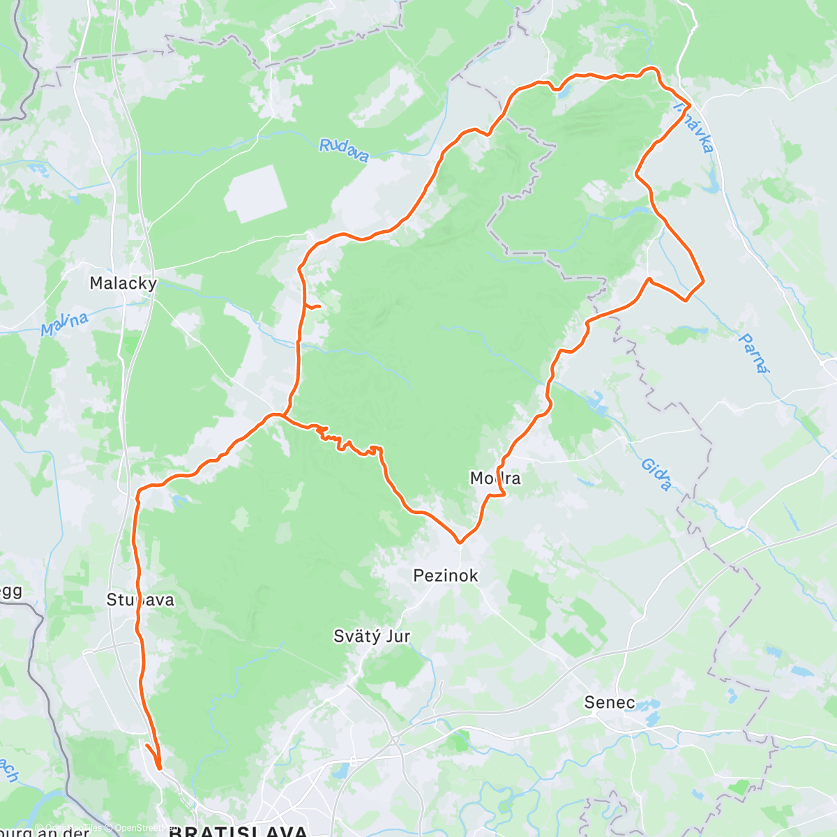 Карта физической активности (The Last 🚴‍♂️ in 2025)