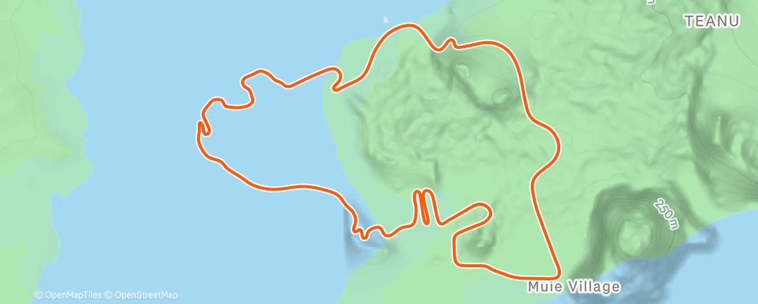 Map of the activity, Zwift - tyugi on Volcano Flat in Watopia