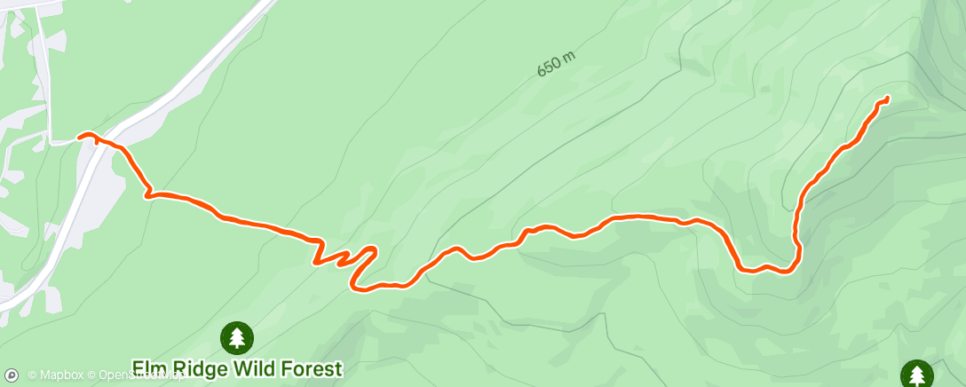 Map of the activity, Morning Run