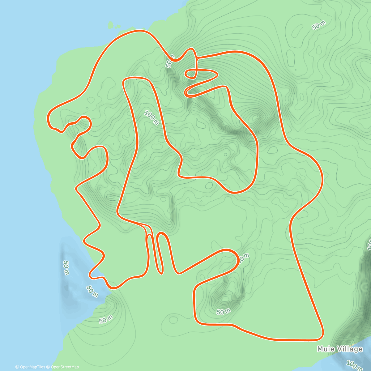 Map of the activity, Zwift - Cruise Intervals #1 on Figure 8 in Watopia