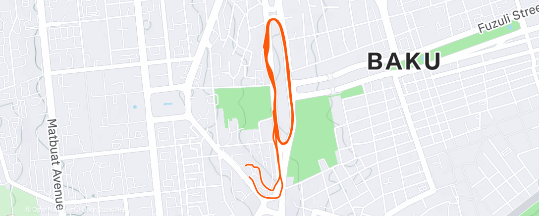 Map of the activity, Утренний забег