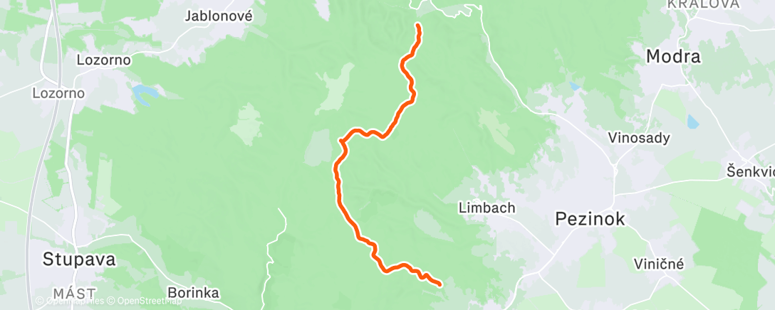 Map of the activity, Morning Run