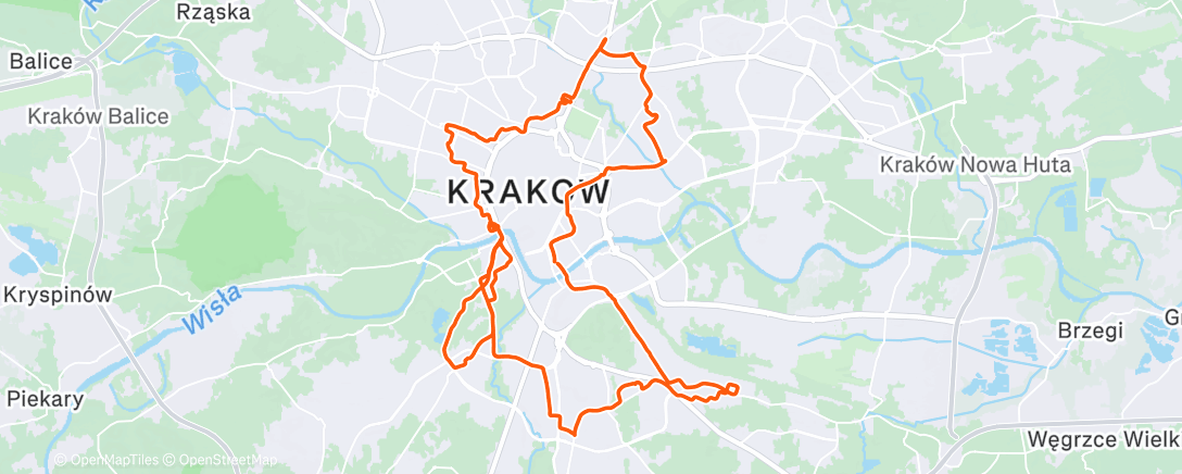 Карта физической активности (chicken run (2000))