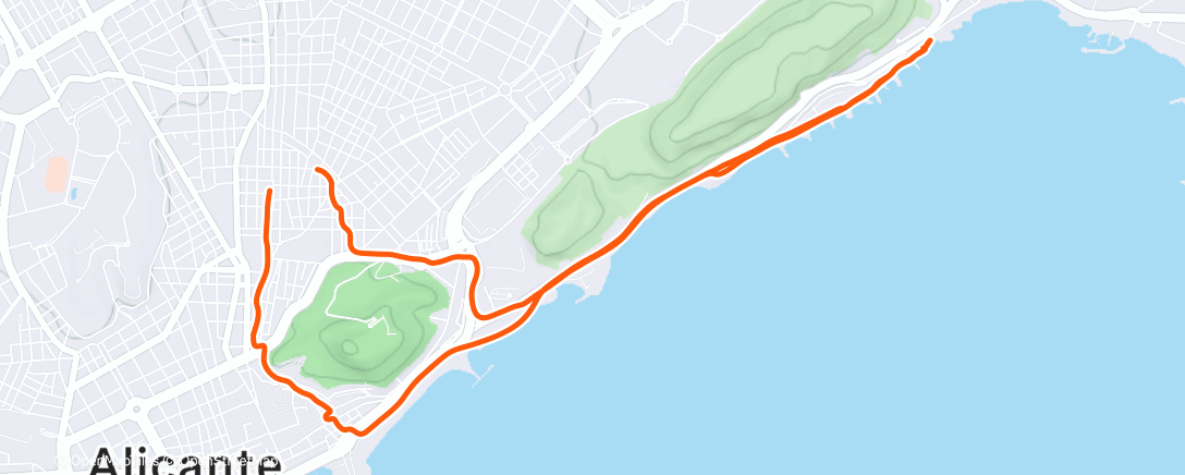 Карта физической активности (Morning Run)