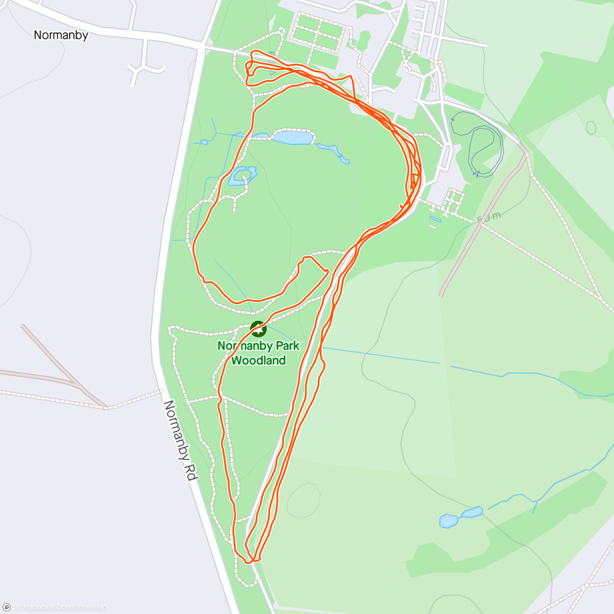 Map of the activity, #331 running at Normanby's 250 with a vegan cake at the end