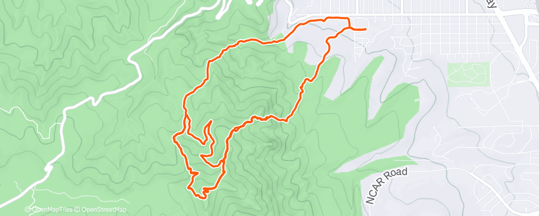 Карта физической активности (Green)