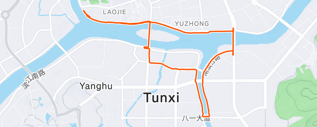 Карта физической активности (Night Run)