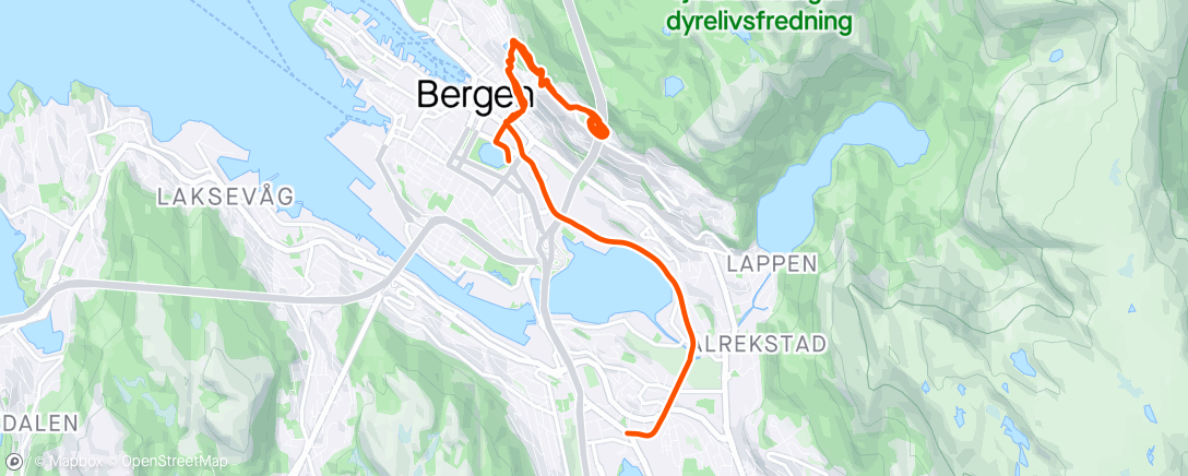 Map of the activity, Bjørgvinøkt