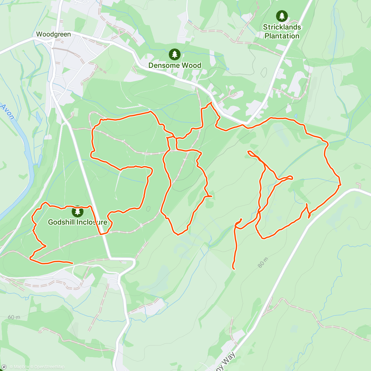 Mapa da atividade, Godshill Orienteering, brown course