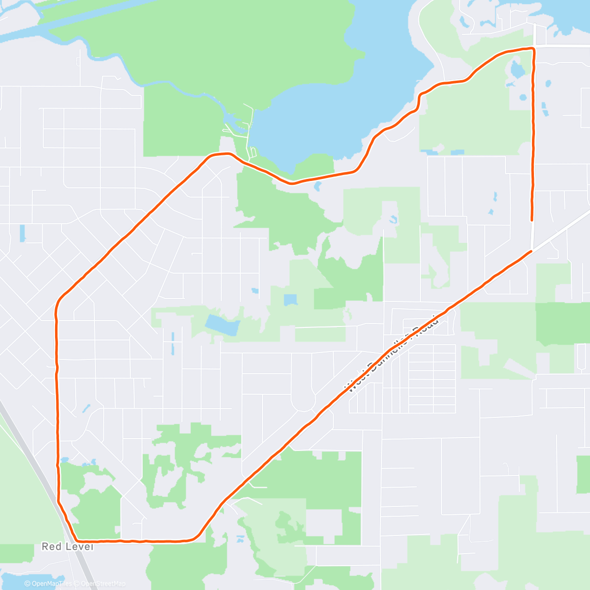 Map of the activity, Looking for manatees 🥹