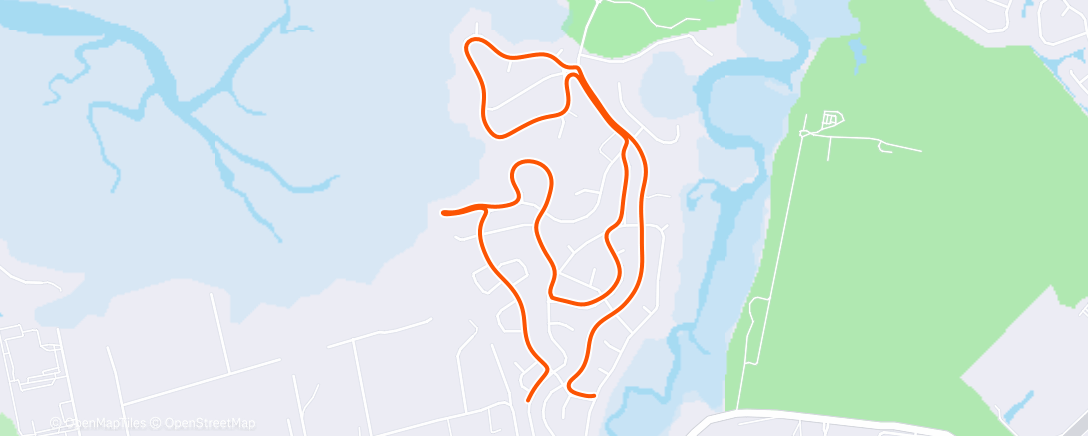 Карта физической активности (Morning Run)