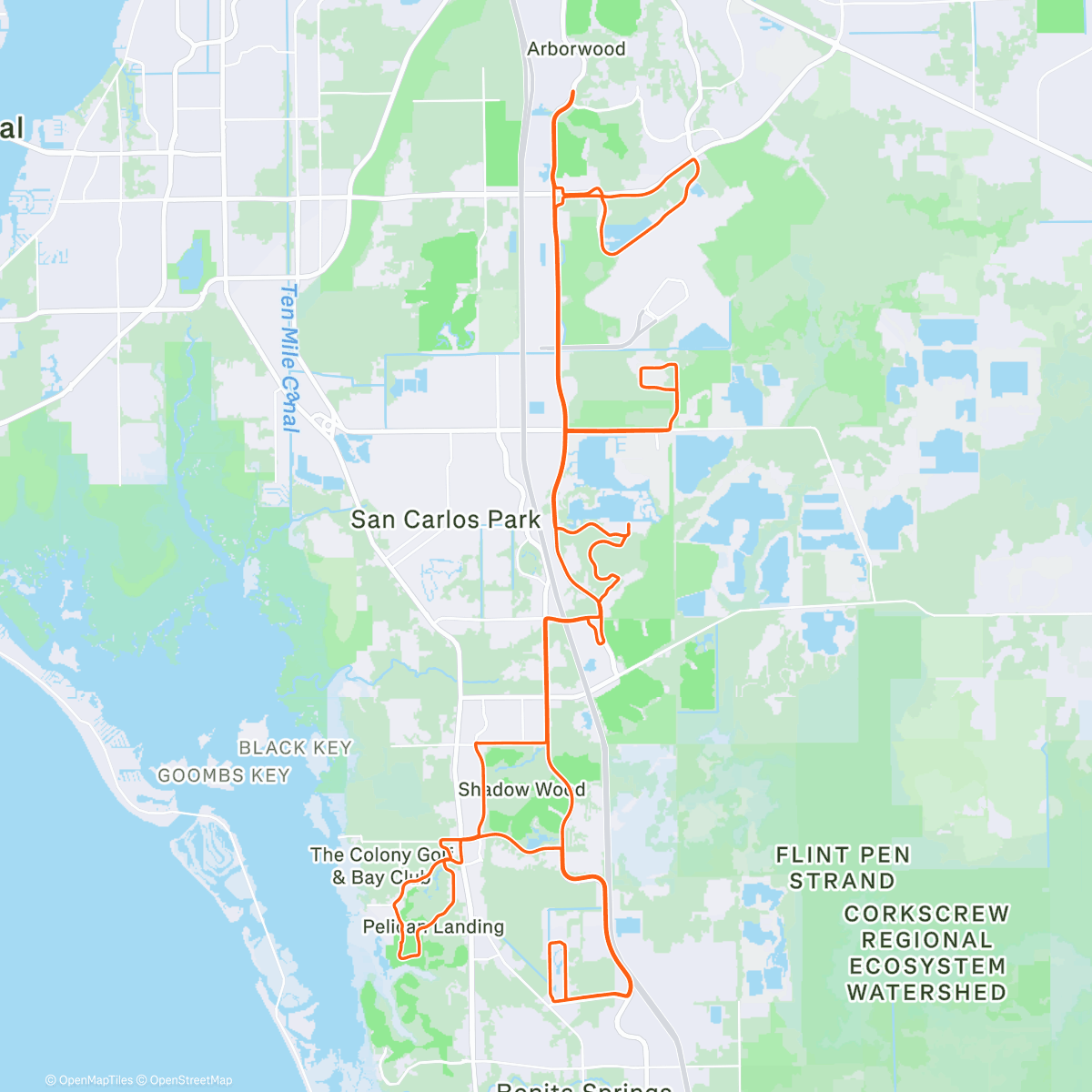 Map of the activity, I Like to Move it Move it