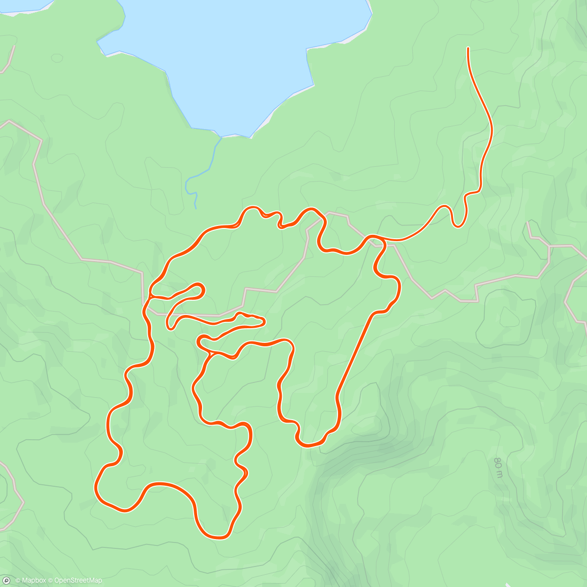 Mapa de la actividad, Zwift - Serpentine 8 in Watopia