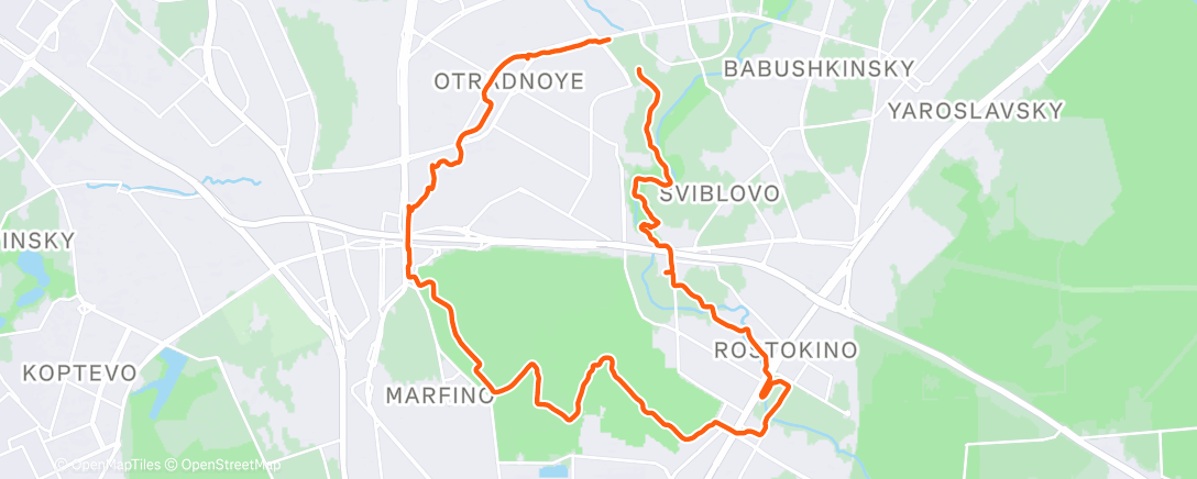 Карта физической активности (Утренний забег)