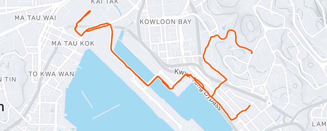 Map of the activity, Evening Run