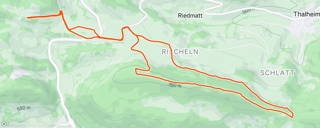 Map of the activity, Morning Run