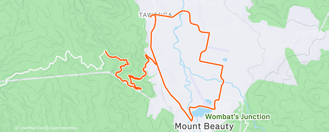 Map of the activity, Morning Ride