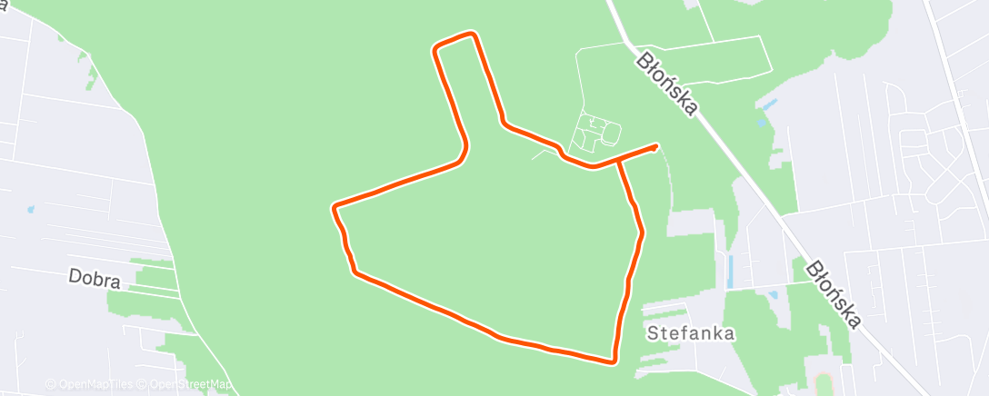 Карта физической активности (Morning Walk)