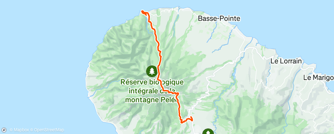 Map of the activity, Night Run