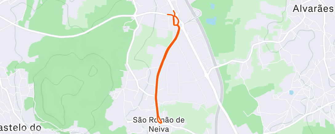 Карта физической активности (Lunch Run)