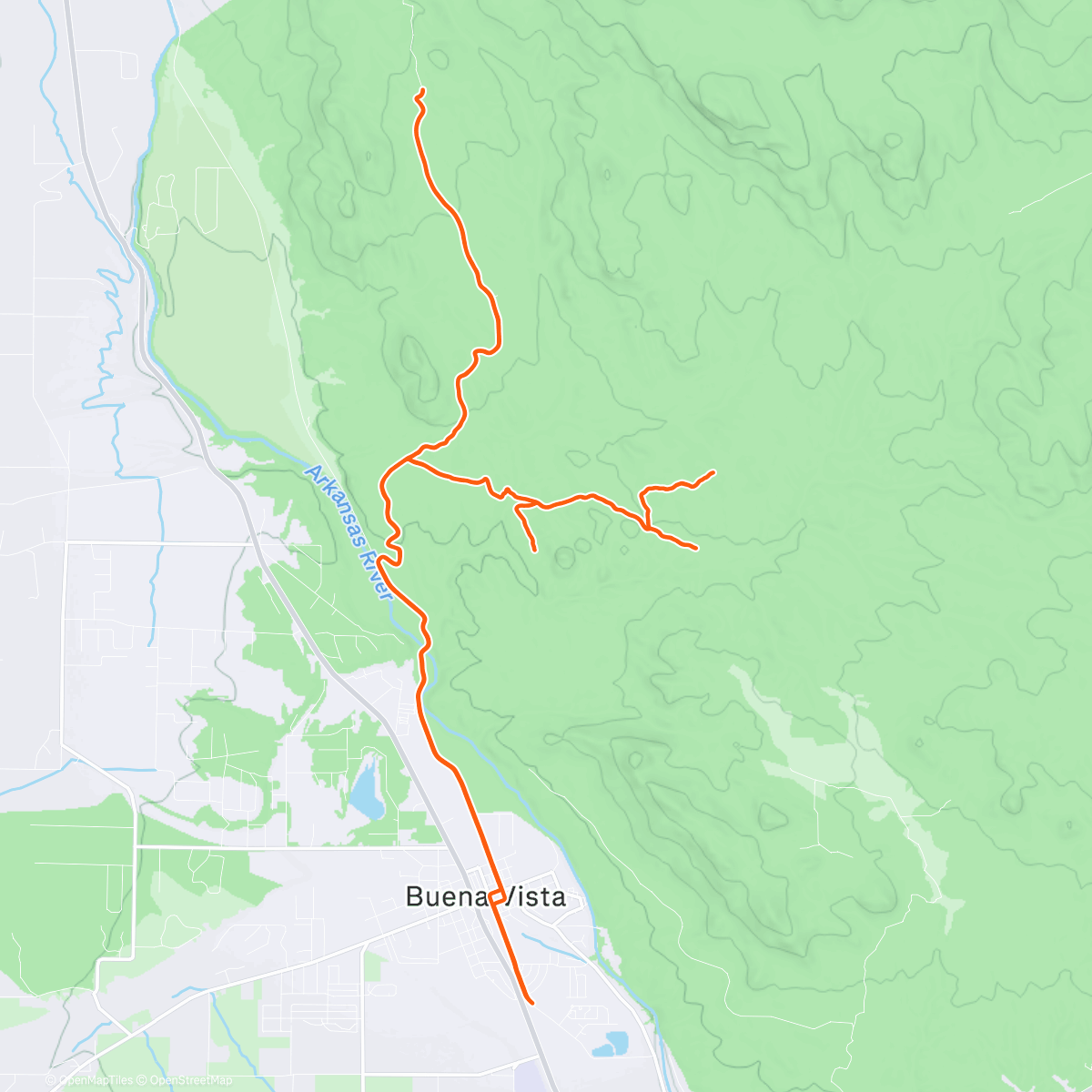Carte de l'activité Fun Fourmile 😈