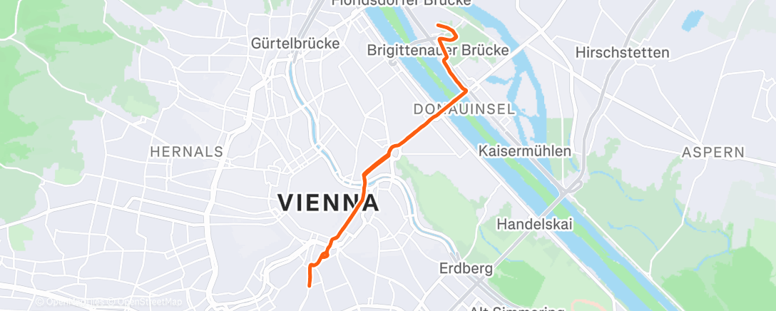 Карта физической активности (Fahrt am Nachmittag)