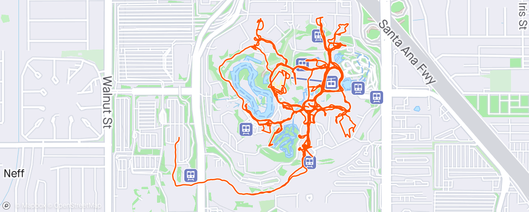 Map of the activity, Recovery Walk in Disneyland
