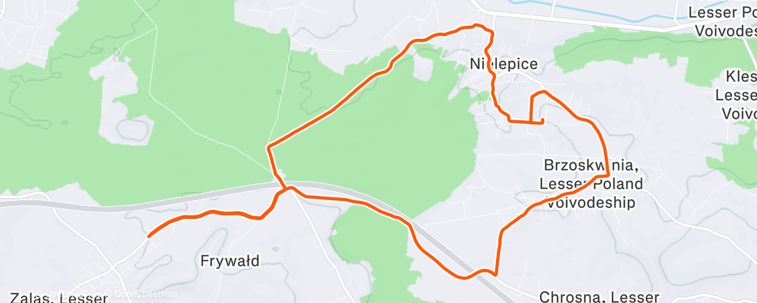 Карта физической активности (Morning Run)