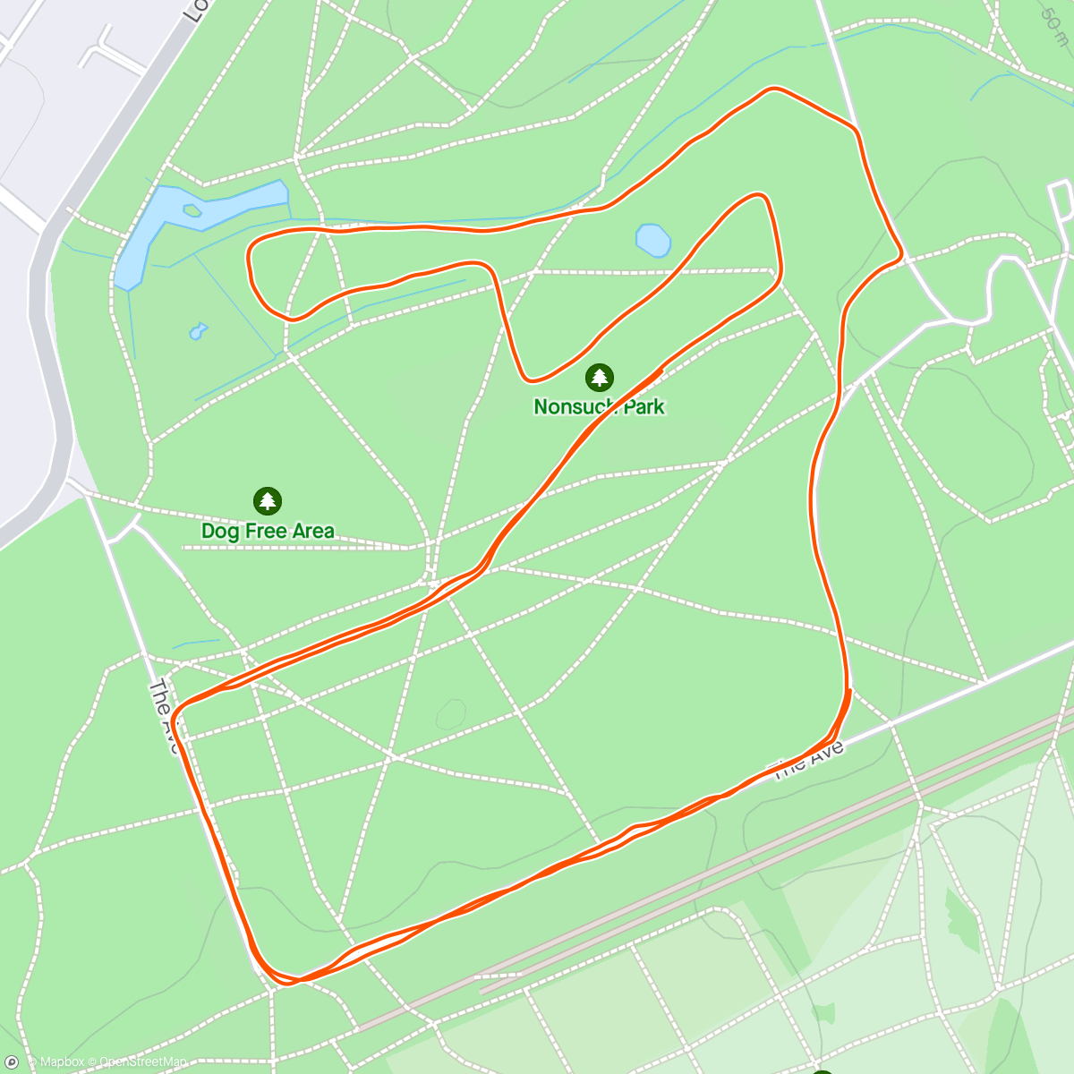 Map of the activity, First Ever Park Run