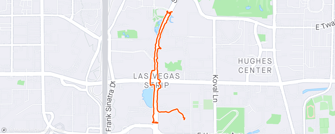 Map of the activity, Las Vegas Blvd